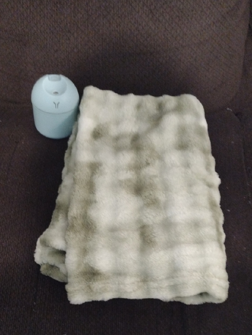 LED Humidifier & Olive Green Small Blanket New
